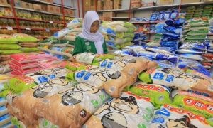 Keputusan Prabowo Tutup Impor Beras Bikin Harga Global Anjlok ke Level Terendah