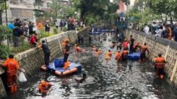 Berburu Ikan Sapu-Sapu, Solusi atau Ilusi? Ini Peringatan Keras dari Pakar IPB
