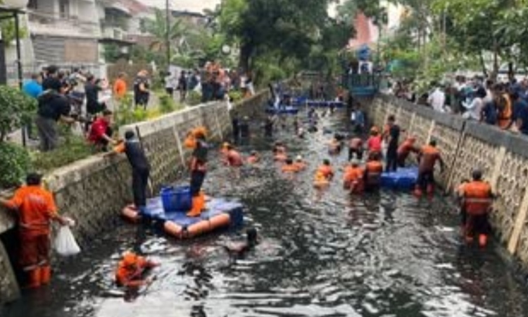 Berburu Ikan Sapu-Sapu, Solusi atau Ilusi? Ini Peringatan Keras dari Pakar IPB
